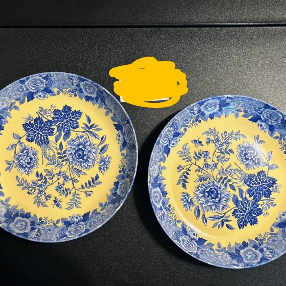 Spode Blue Room Garden Collection "Jasmine"